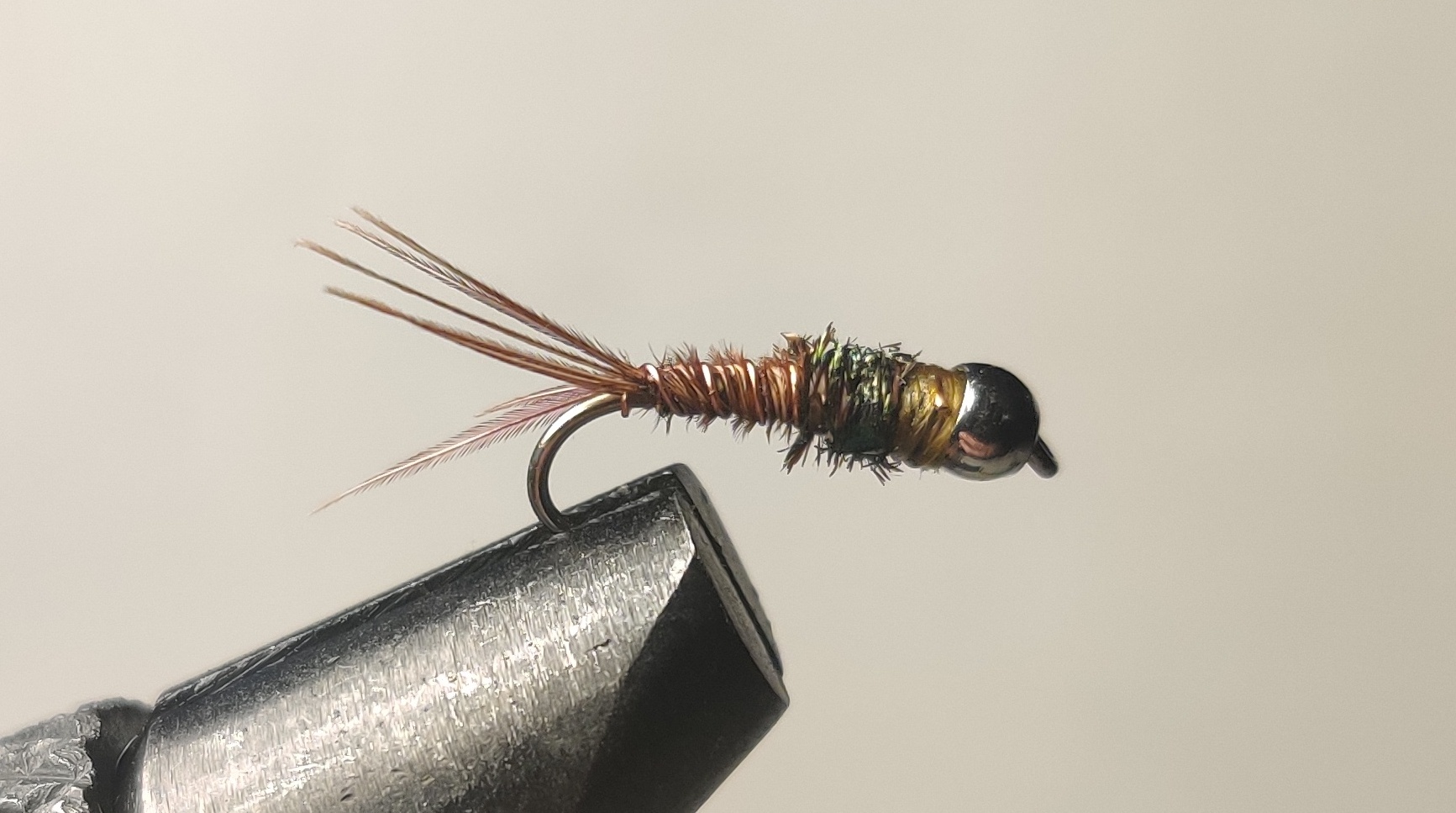 Pheasant Tail Nymph